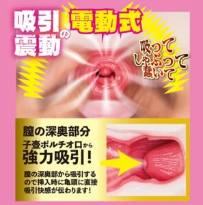 吸って蠢く 生腰名器 北野未奈
