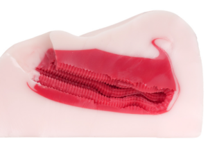 床オナ式マウントプレスONE