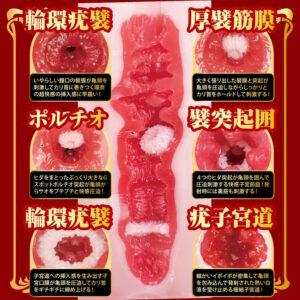 名器の証明 16 特別版 瀬戸環奈